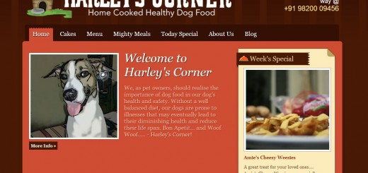 Whysoserious: A Fun Website That Offers A Wide Range Of Non-Serious And Quirky Products